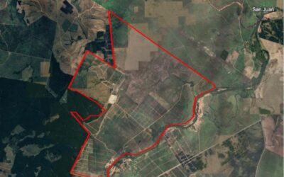 Fundo Agrícola Cauquenes