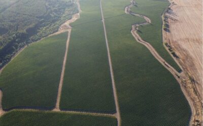 Fundo Agrícola Mulchén