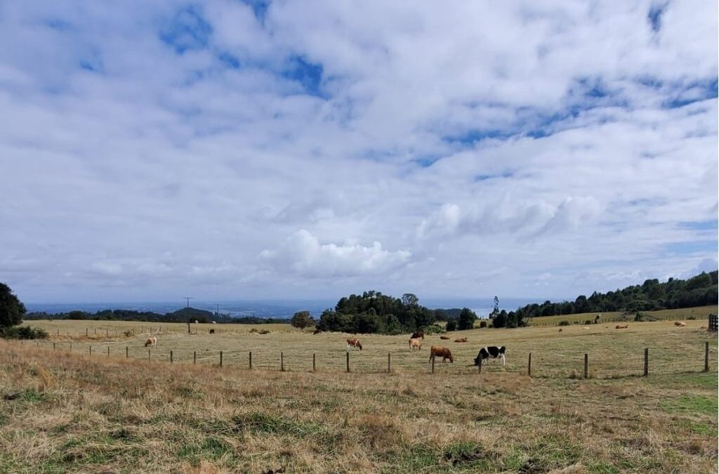 Lago Ranco Estate