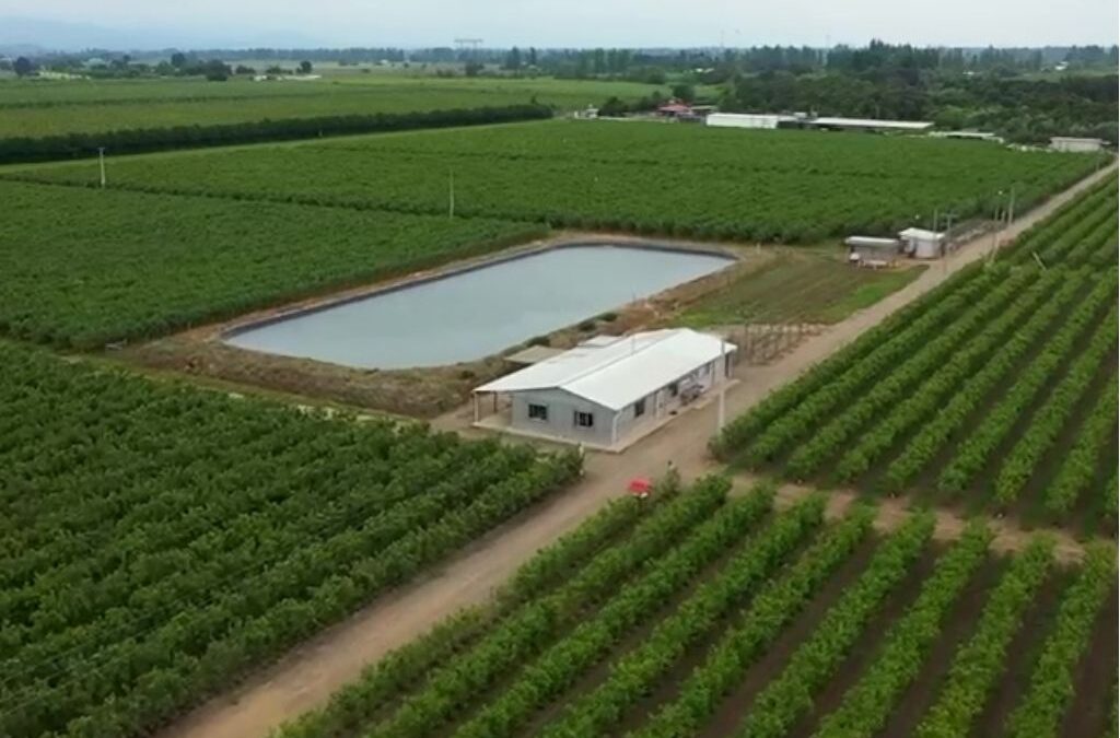 Fundo Agrícola Ñuble